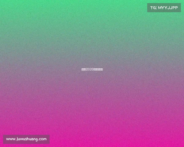 董文飞2020最新比赛视频