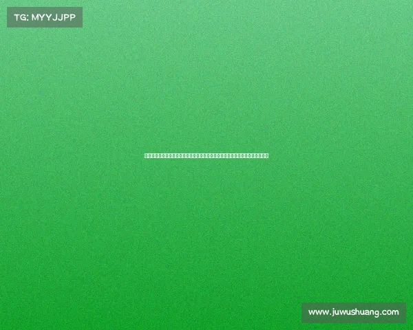 国内技术官员是干啥的、技术官员赛事含义全面解析：定义、内容与重要作用详解