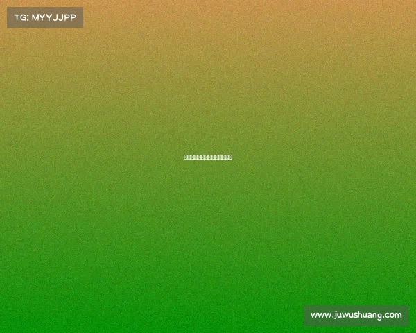 介绍赛事筹备情况和比赛筹备会